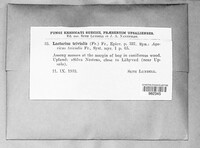 Image Associated With the Occurence